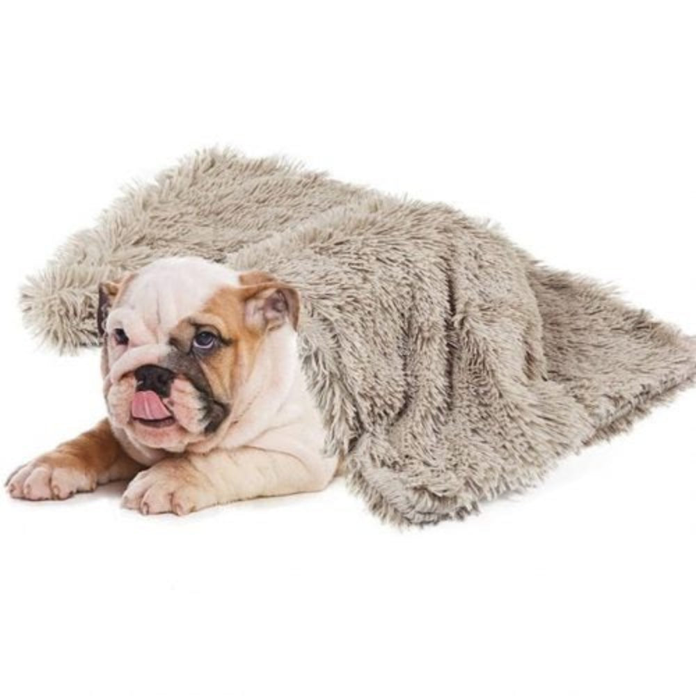 Bulldog puppy on a light brown faux-fur dog blanket