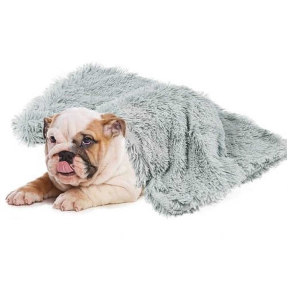 Bulldog puppy on a light gray faux-fur dog blanket