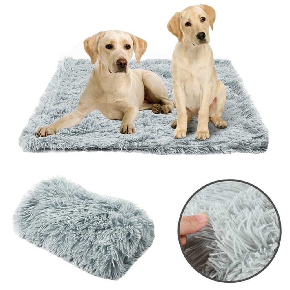 Two Labrador puppies on a light gray faux-fur dog blanket