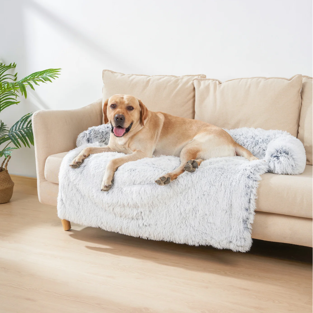 Haven Faux Fur Sofa Protector Bed in Gray — Labrador resting on the plush bolster couch cover