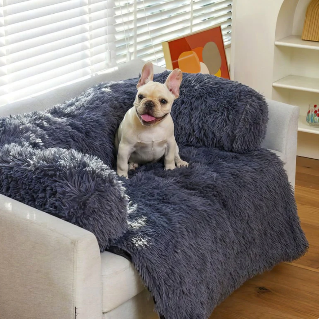 Haven Faux Fur Sofa Protector Bed in Anthracite — French bulldog on the dark grey plush couch bed