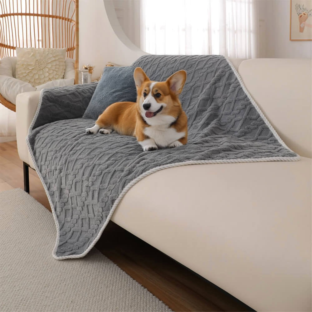 Drift Waterproof Pet Blanket — corgi resting on the gray blanket draped over a sofa